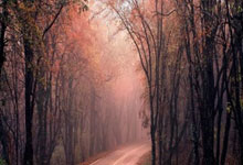 库尔皮尔特突破身体优势，尽显全能