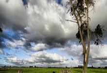 新一轮女足对决打响，球队拼尽全力