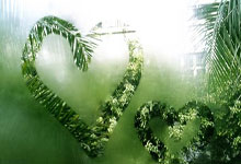 女足比赛紧张激烈，谁能卓尔不羁脱颖而出