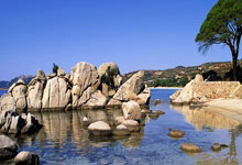 汉堡主场告捷复苏迹象显现